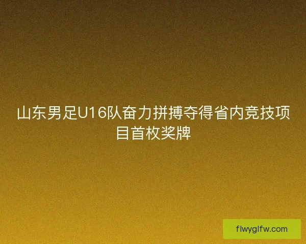 山东男足U16队奋力拼搏夺得省内竞技项目首枚奖牌